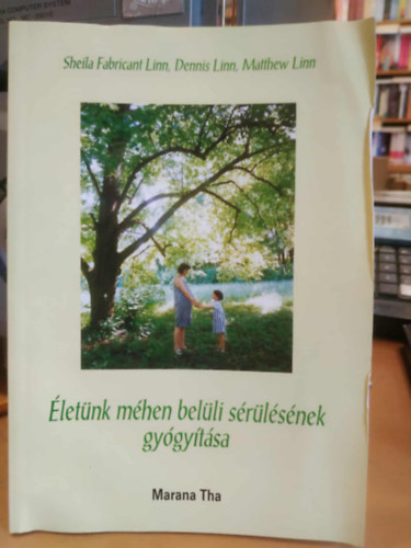 Dennis �s Matthew Linn Sheila Fabricant - �let�nk m�hen bel�li s�r�l�s�nek gy�gy�t�sa