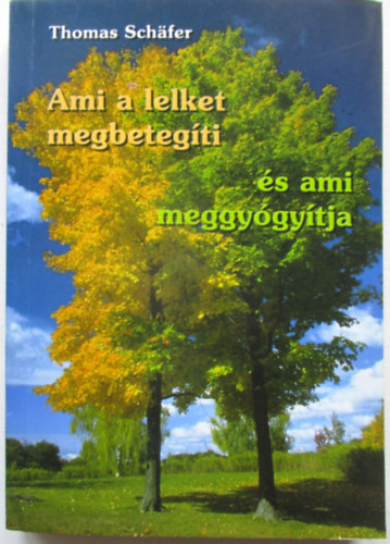 Thomas Sch�fer - Ami a lelket megbeteg�ti �s ami meggy�gy�tja