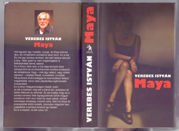 Verebes Istvn - Maya - vizsglat, fejtegets, valloms s brndkpek