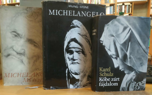 Irving Stone, Charles de Tolnay Karel Schulz - 3 db festszet-mvszet: Kbe zrt fjdalom + Michelangelo + Michelangelo: M s vilgkp