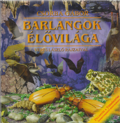 Csorba G�bor-Veres L�szl� - Barlangok �l�vil�ga