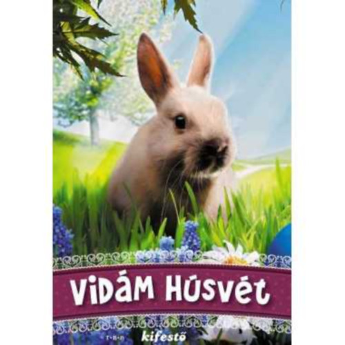 Vidm hsvt - kifest