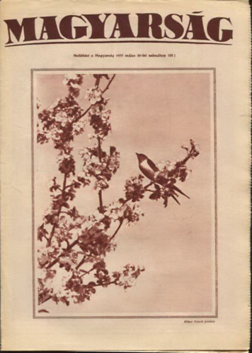 Magyars�g - Mell�klet a Magyars�g 1937 m�jus 30-iki sz�m�hoz (22)