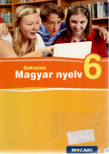 Bern�th Magdolna, Palotain� K�k�nyesi Katalin L�n�rd Judit - Soksz�n� magyar nyelv 6 tank�nyv