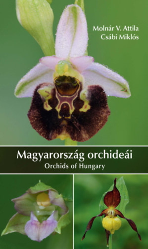 Moln�r V. Attila Cs�bi Mikl�s - Magyarorsz�g orchide�i