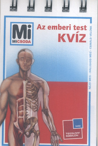 Az emberi test - Kvz