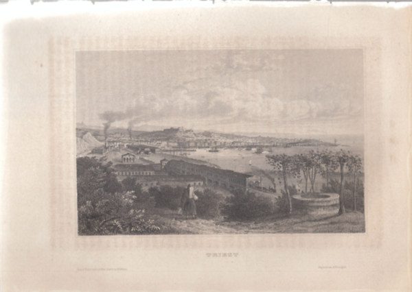 Triest - Trieste (Trieszt, kiktvros, Olaszorszg, Eurpa) (16x23,5 cm lapmret eredeti aclmetszet, 1856-bl)