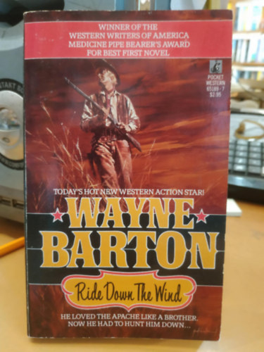 Wayne Barton - Ride Down the Wind