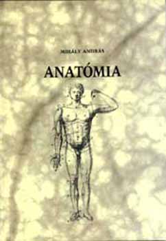 Mihly Andrs - Anatmia