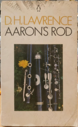 D. H. Lawrence - Aaron's Rod