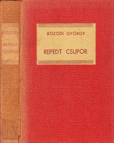 Bözödi György - Repedt csupor