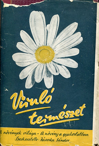 Dr. Jvorka Sndor - Virul termszet