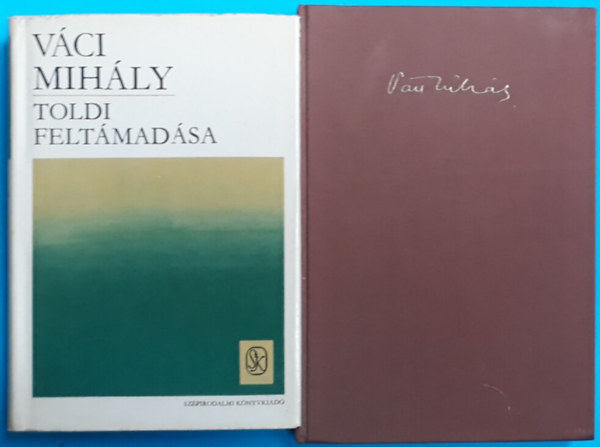 Váci Mihály - Százhuszat verő szív + Toldi feltámadása/Összegyűjtött prózai írások/