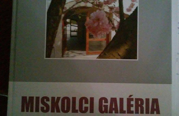 Dobrik Istvn  (szerk.) - Miskolci galria
