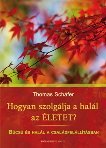 Thomas Schfer - Hogyan szolglja a hall az letet?