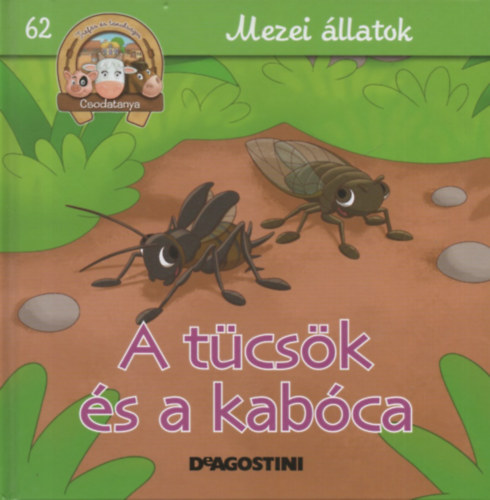 A tücsök és a kabóca (Csodatanya 62.)