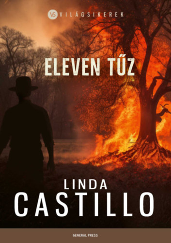 Linda Castillo - Eleven tűz