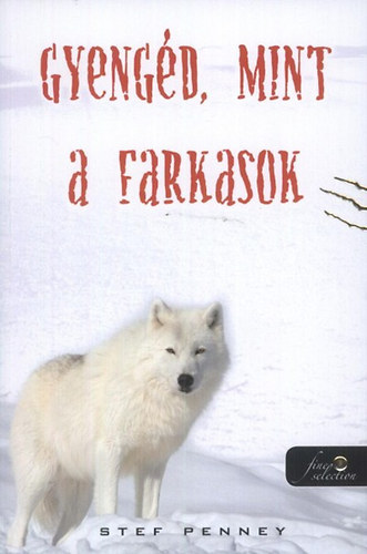 Stef Penney - Gyengd, mint a farkasok