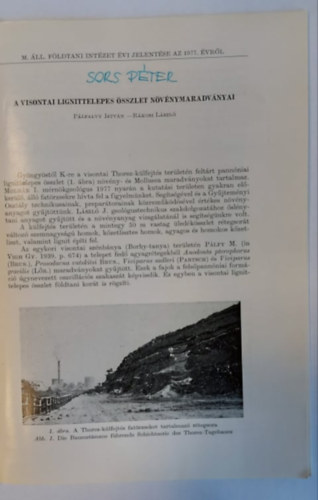 R�kosi L�szl� P�lfalvy Istv�n - A visontai lignittelepes �sszlet n�v�nymaradv�nyai (k�l�nlenyomat)